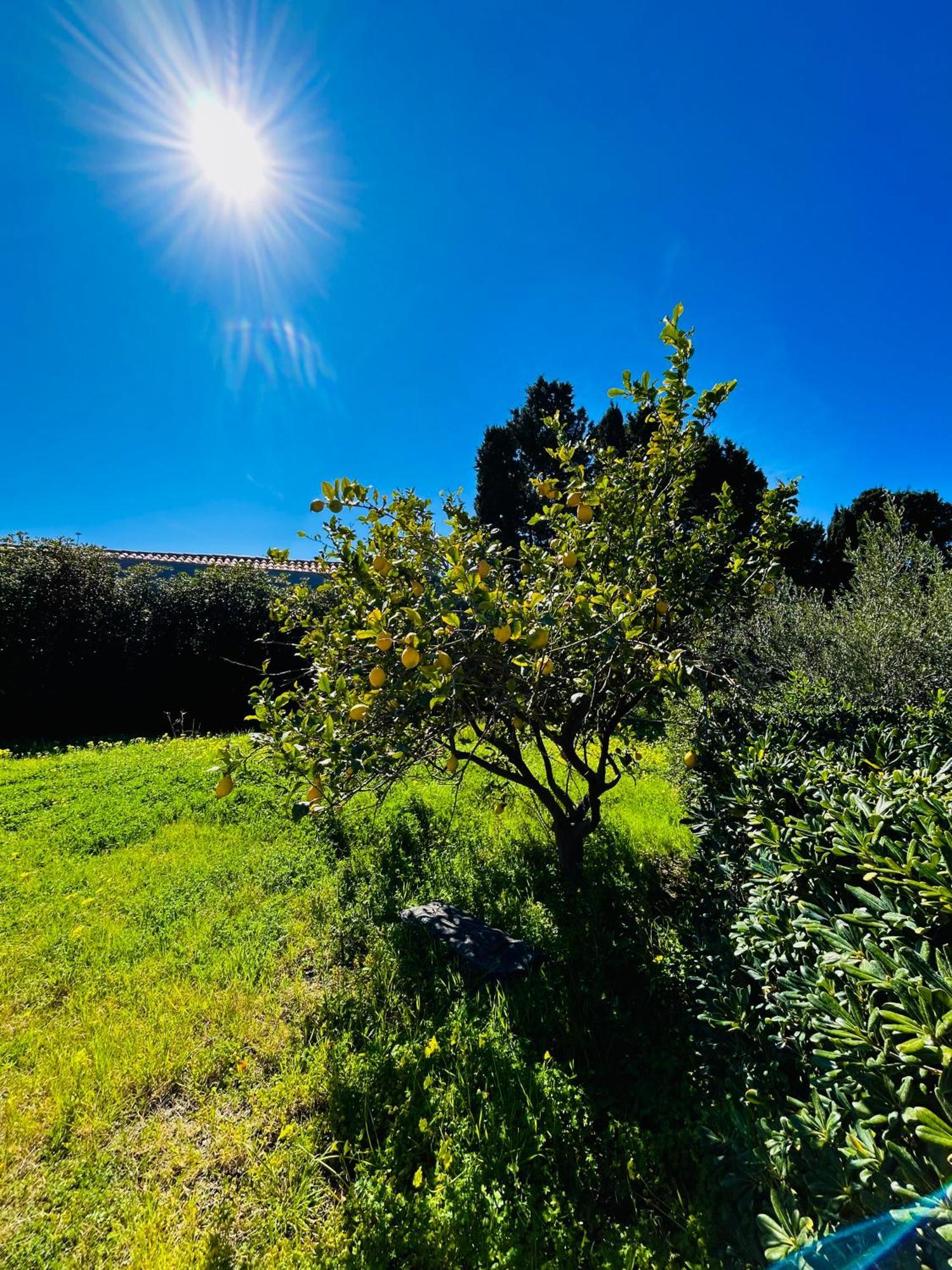 Oltre - Dove Cielo E Mare Si Uniscono Milazzo Exterior foto